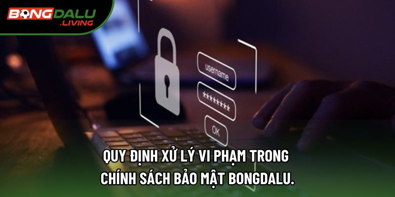 Quy định xử lý vi phạm trong chính sách bảo mật Bongdalu.